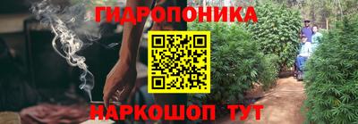 ешки Брянск
