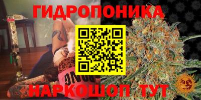 ешки Брянск