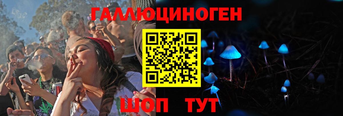 Псилоцибиновые грибы GOLDEN TEACHER Выборг